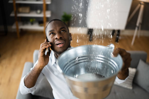  Mount Pocono, PA Water damage restoration Pros
