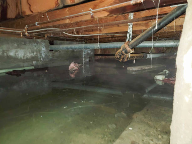 Best Water damage restoration near me  in Mount Pocono, PA