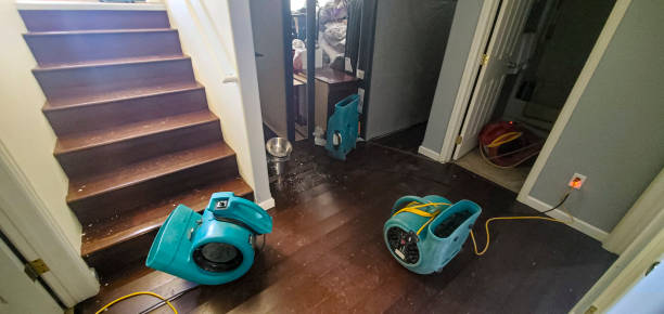 Best Basement water damage restoration  in Mount Pocono, PA