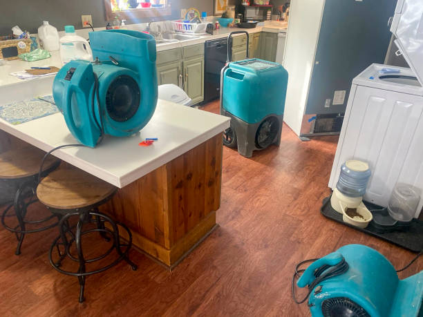 Best Sewage cleanup and water damage restoration  in Mount Pocono, PA