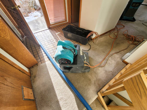 Best 24-hour water damage restoration  in Mount Pocono, PA
