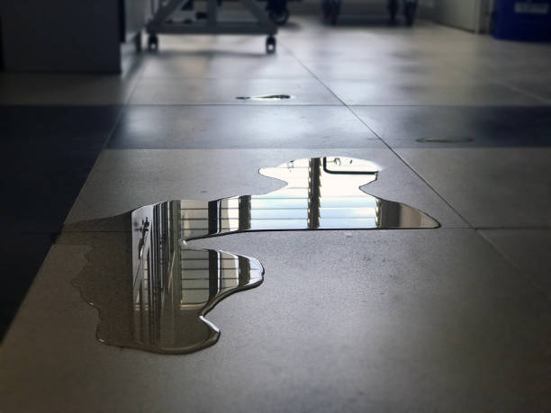 Best Water damage restoration company  in Mount Pocono, PA