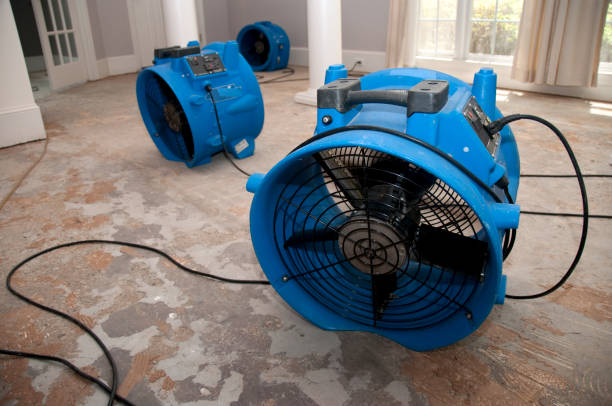 Best Water damage repair service  in Mount Pocono, PA