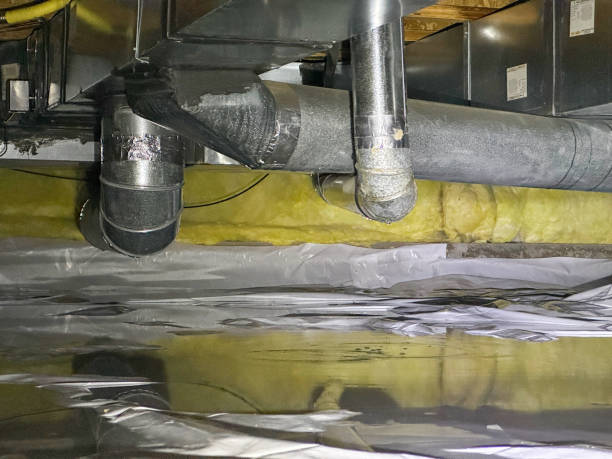 Best Water damage cleanup near me  in Mount Pocono, PA