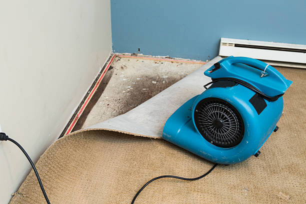 Best Water damage contractors near me  in Mount Pocono, PA